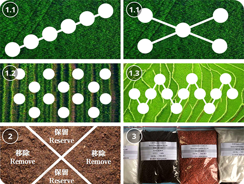 Select Soil Sample