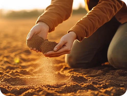 Soil Testing