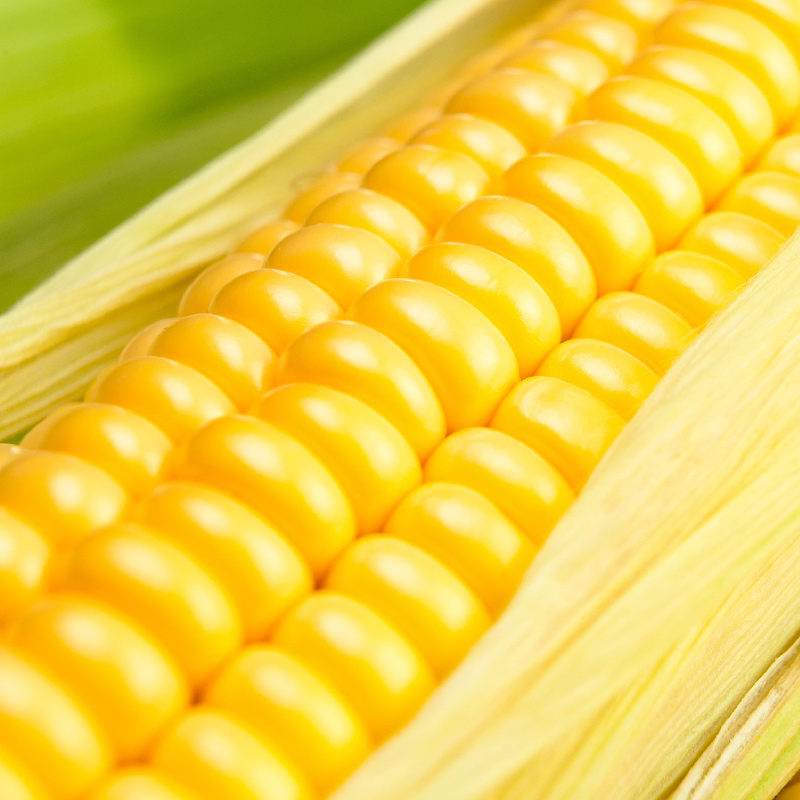 Corn