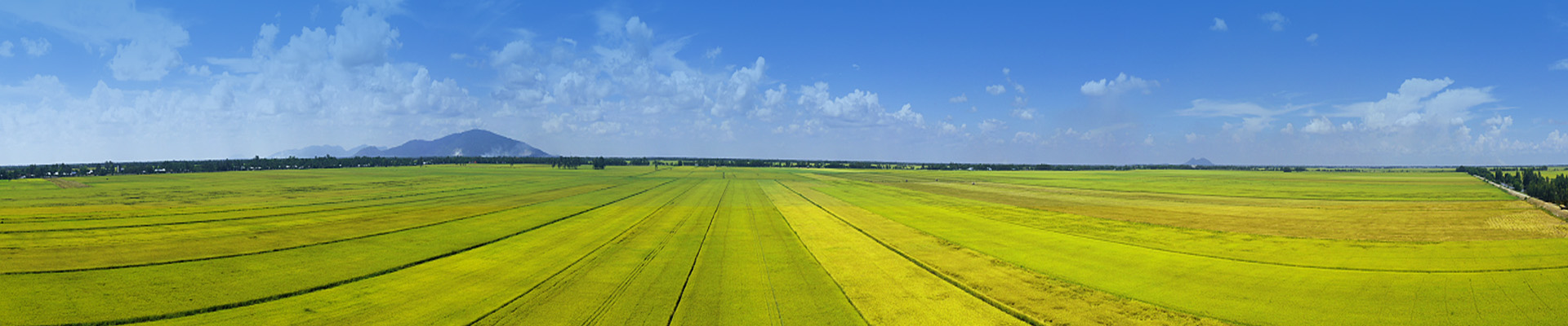 Fertilizer