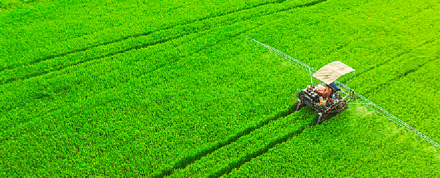 Fertilizer selection