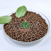 64% (18-46-0) Diammonium Phosphate Coffee Color High Quality After-sales Service