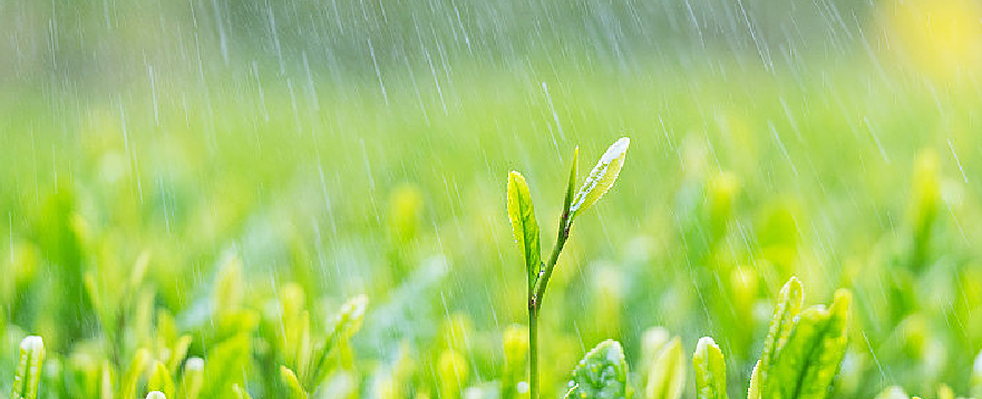 Scientific proportioning